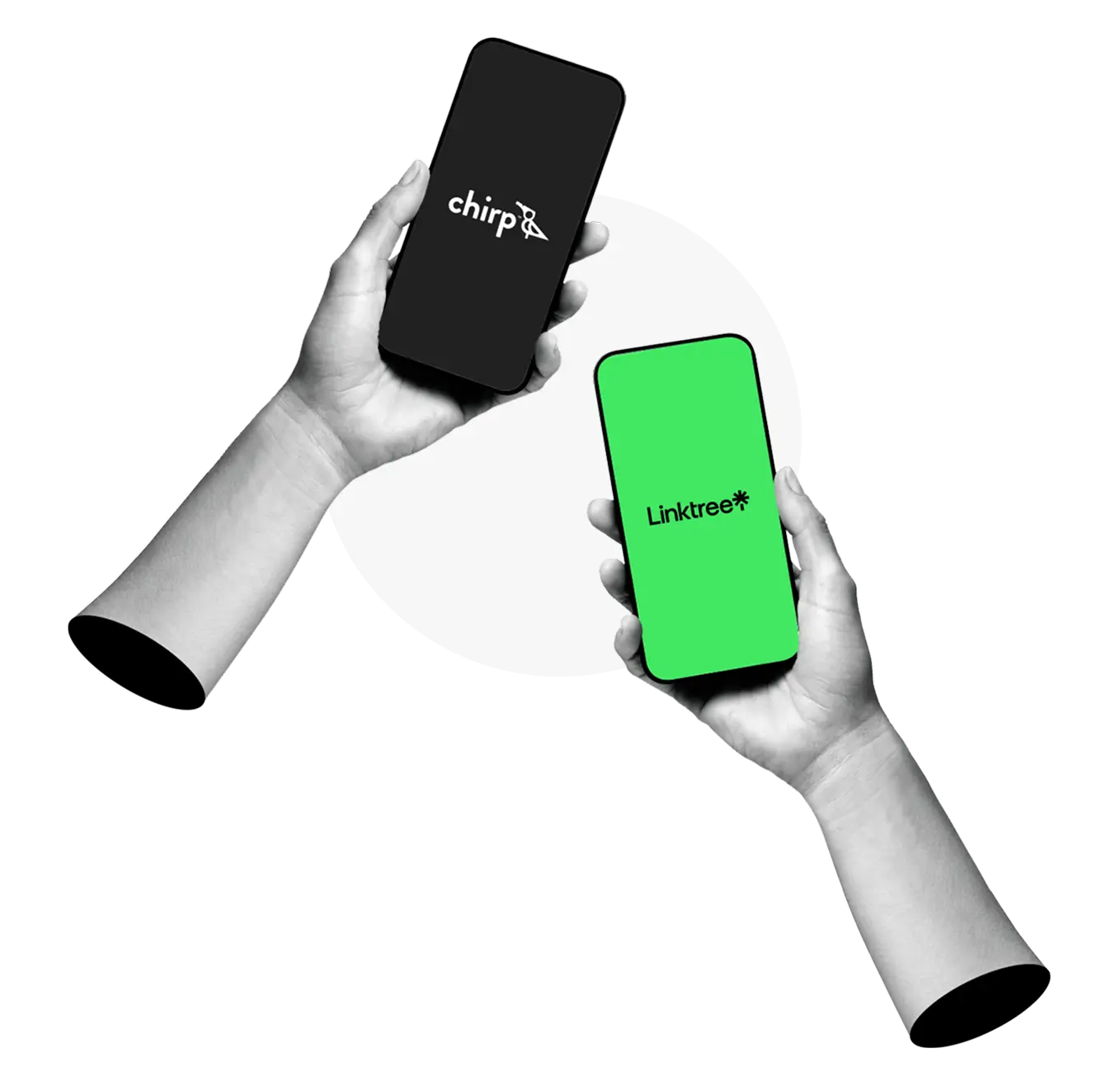 Chirp vs Linktree